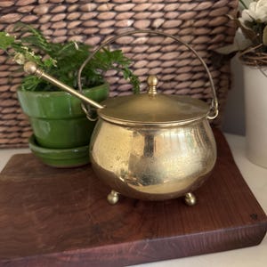 May include: A small, antique brass pot with a lid and handle, resting on three small feet. A matching brass spoon rests inside. The pot sits on a dark wooden cutting board, with a green potted plant in the background.