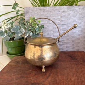 May include: A polished brass pot with a rounded body, three small ball feet, and a matching lid featuring a central knob. A thin, arched metal handle is attached to the sides, and a long, slender brass spoon rests inside the pot.