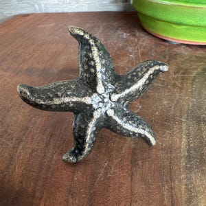 May include: A bronze-colored starfish sculpture with five points. The sculpture has a textured surface with lighter accents, giving it a weathered appearance. The starfish is a decorative item, likely for coastal or nautical-themed decor.