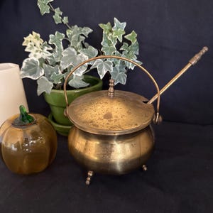 May include: A brass pot with a rounded body, three small feet, a domed lid with a central finial, and a curved handle. A long, thin brass spoon rests inside the pot, extending outward. The metal surface shows a natural, aged patina finish.