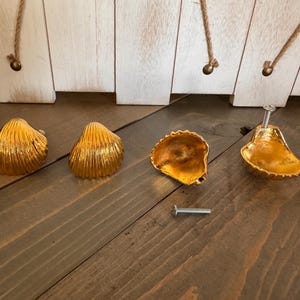 May include: Four gold-colored seashell-shaped cabinet knobs with a metallic finish. Two knobs are shown from the top, one is shown from the interior, and one is shown from the side with a silver metal screw attached. A single loose screw is also visible.