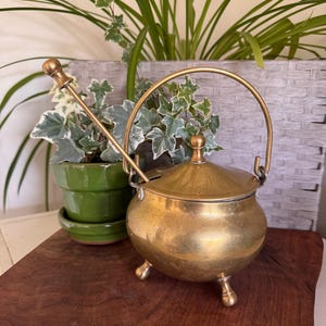 May include: A round brass pot with three small feet, a domed lid with a central knob, and a curved handle. A long, thin brass rod with a spherical tip extends diagonally from the side of the pot, which features a smooth, metallic finish.