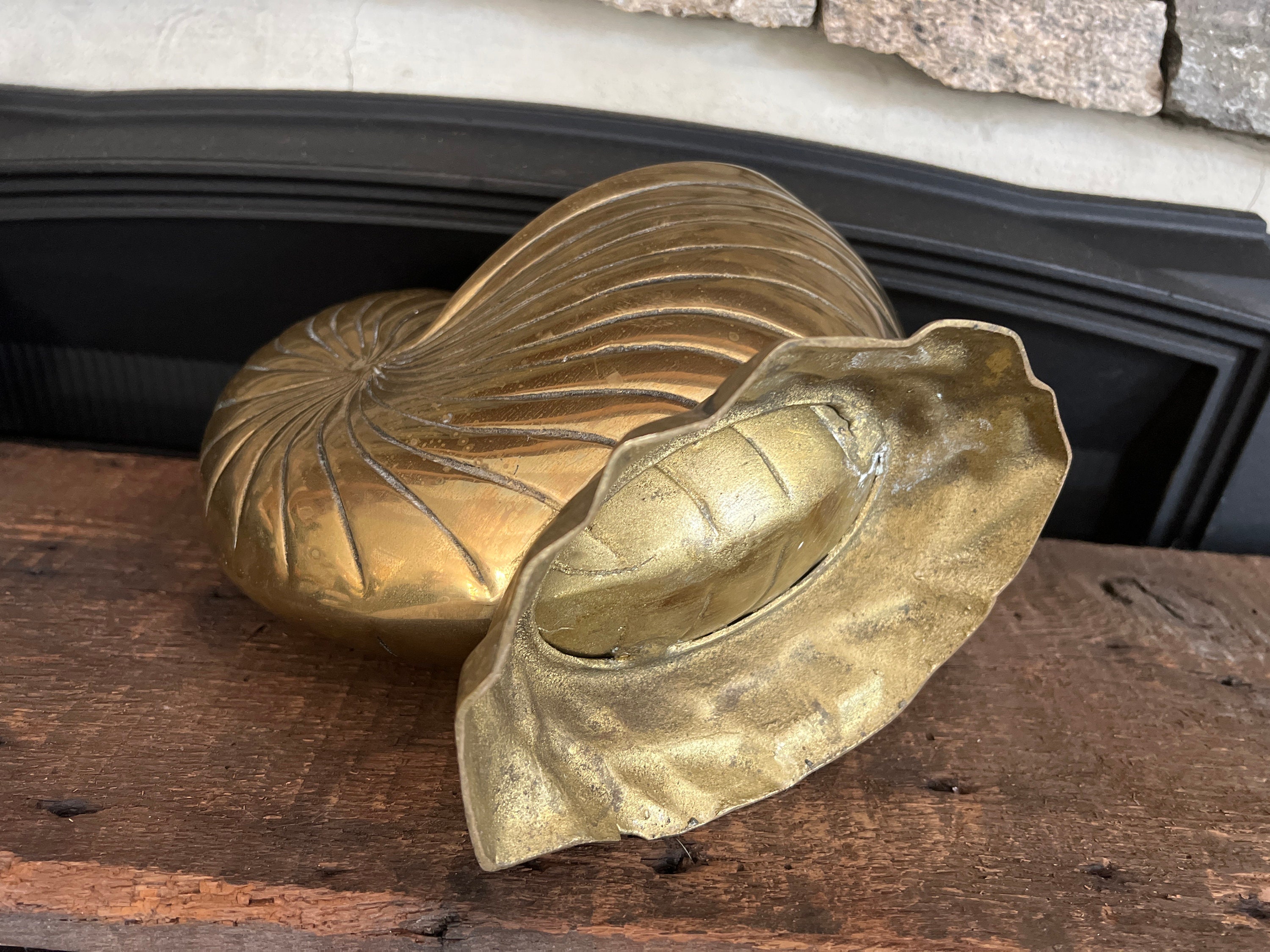 Vintage Brass Nautilus Shell Planter Decor Set Design -  Canada