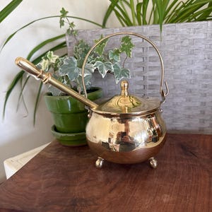May include: A small, shiny brass pot with a lid, handle, and three small feet. The pot has a long spout and a curved handle. It sits on a dark wooden surface, with green plants in the background.