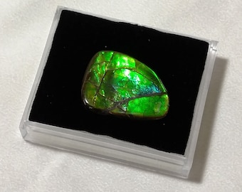 Ammolite  27.5ct Triangular Freeform Loose Gemstone, Green Ammolite, Triangular Ammolite, Ammolite for Pendant