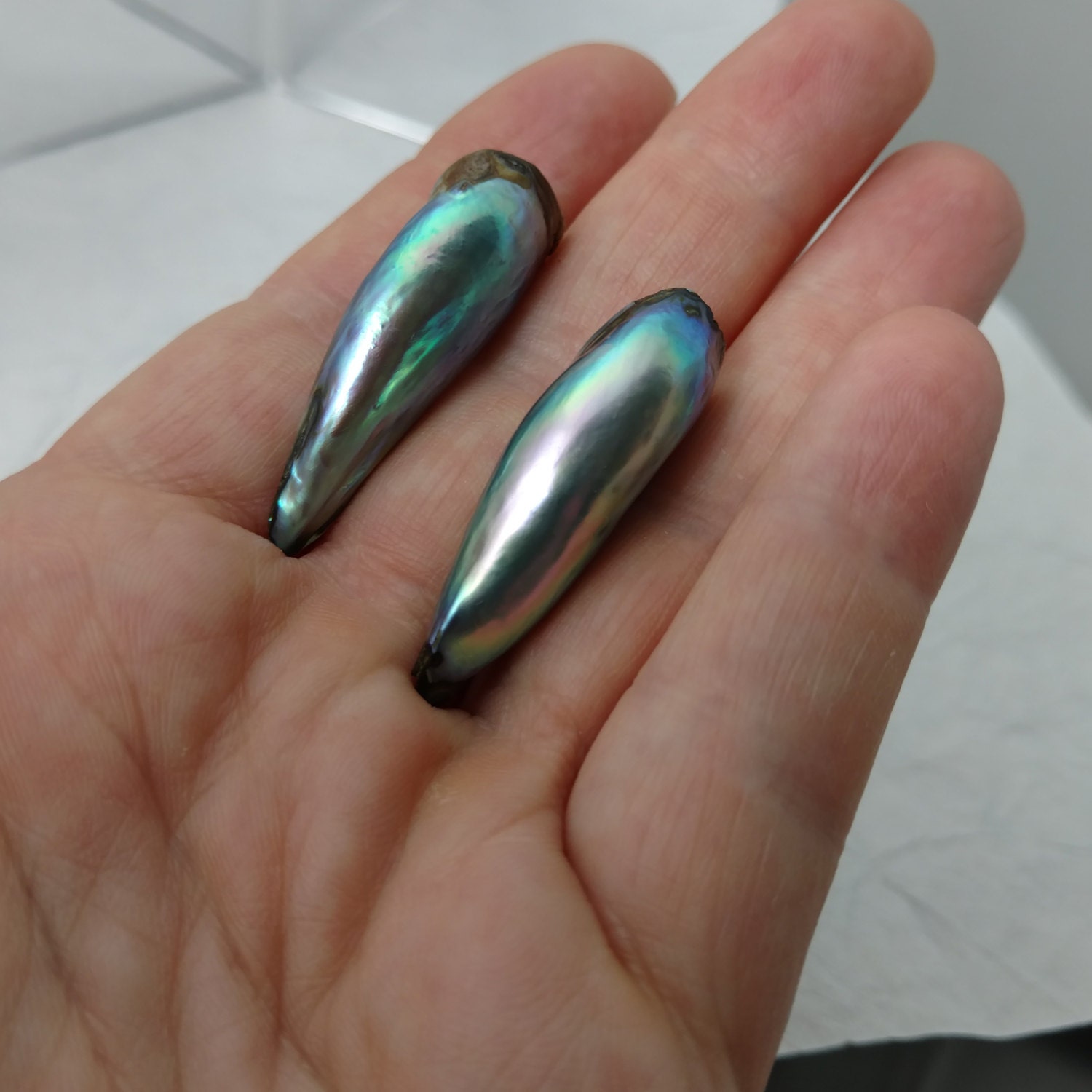 PAIR of Large Natural Abalone Pearls 43ct Total Weight for Etsy