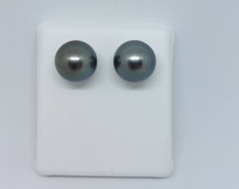 Large 14mm Tahitian Black Pearl Stud Earrings Natural Color