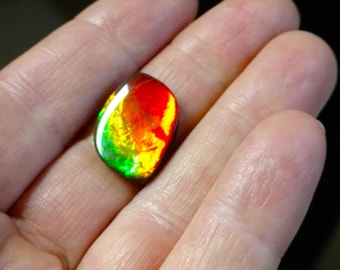 Ammolite Gem 10.70ct Loose Stone for a Custom Ring or Pendant