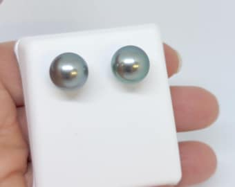 Pair of Classic Tahitian Black Pearl Stud Earrings 11mm+