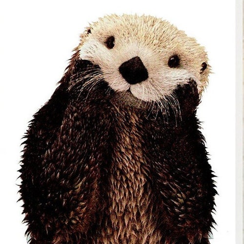 Otter Print Sea Otter Art Print Sea Animals Wall Art Animal - Etsy Otter Print Sea Otter Art Print Sea Animals Wall Art Animal - Etsy
