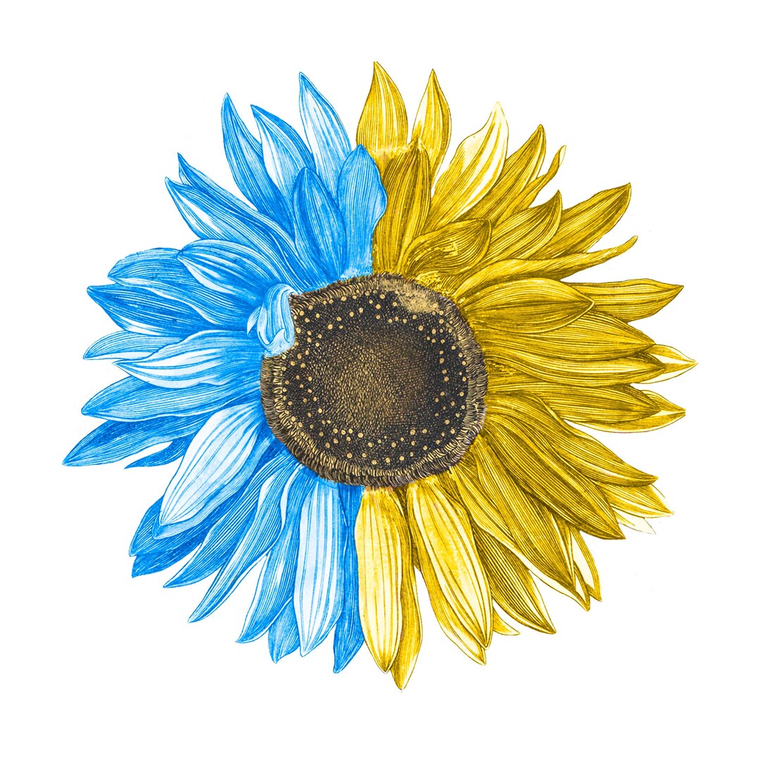 Ukraine PNG Sunflower PNG Peace I Stand With Ukraine Etsy