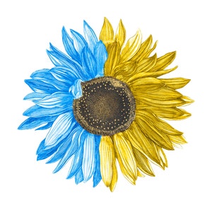 Ukraine PNG, tournesol PNG, Peace I Stand With Ukraine, drapeau ukrainien Sublimation Design, téléchargement immédiat