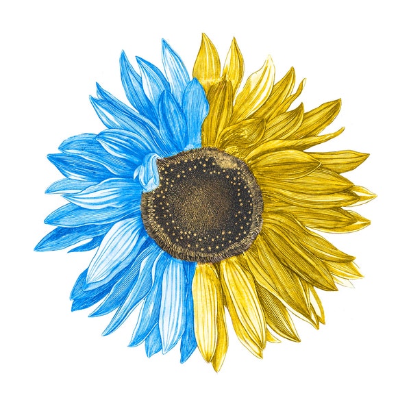Ukraine PNG, Sunflower PNG, Peace I Stand With Ukraine, Ukranian Flag Sublimation Design, Instant Download