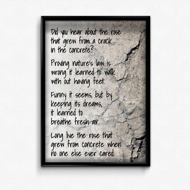 the rose that grew from concrete tupac poem the rose that grew from concrete tupac poem