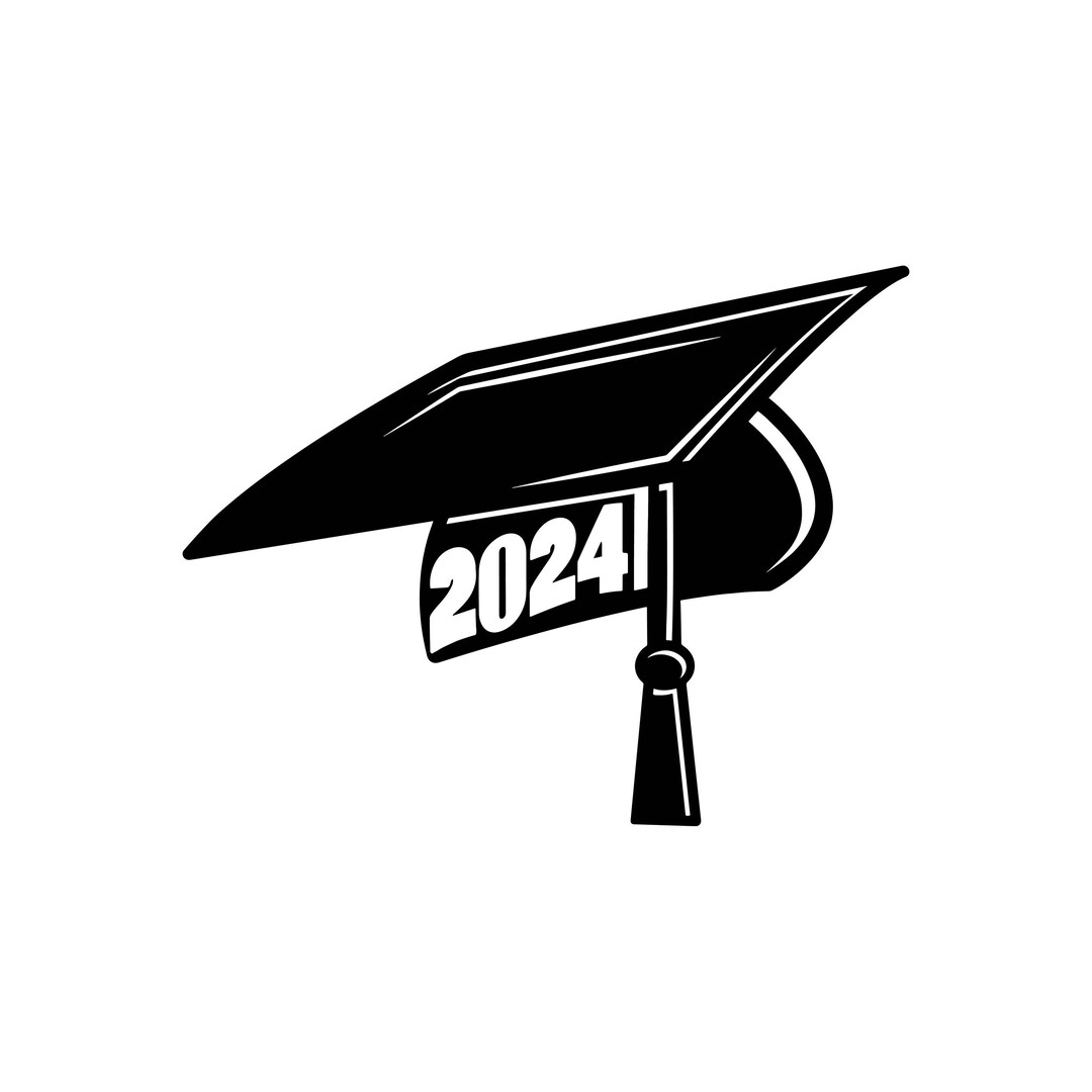 Graduation Cap SVG, 2024 Graduation Cap Svg, Graduation Hat Svg Class