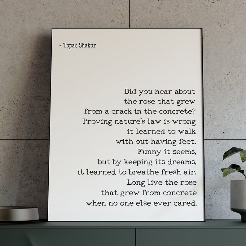 the rose that grew from concrete tupac poem the rose that grew from concrete tupac poem