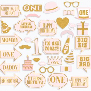 35 Girl's 1st Birthday Party Props, Photo Booth Props First Birthday ...