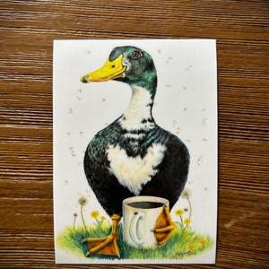 Duck Coffee Love sticker vinyl outdoor indoor bumper window water bottle 3 inches
