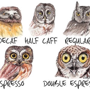 Owl coffee whimsical animal kitchen watercolor painting signed print by Holly Simental