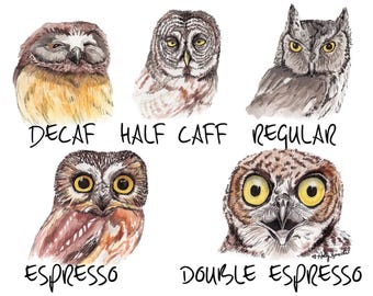 Pintura de acuarela de búho, café, animal caprichoso de cocina, impresión firmada por Holly Simental