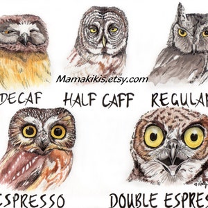 Owl Caffeine Meter , funny owl coffee watercolor painting signed print by Holly Simental