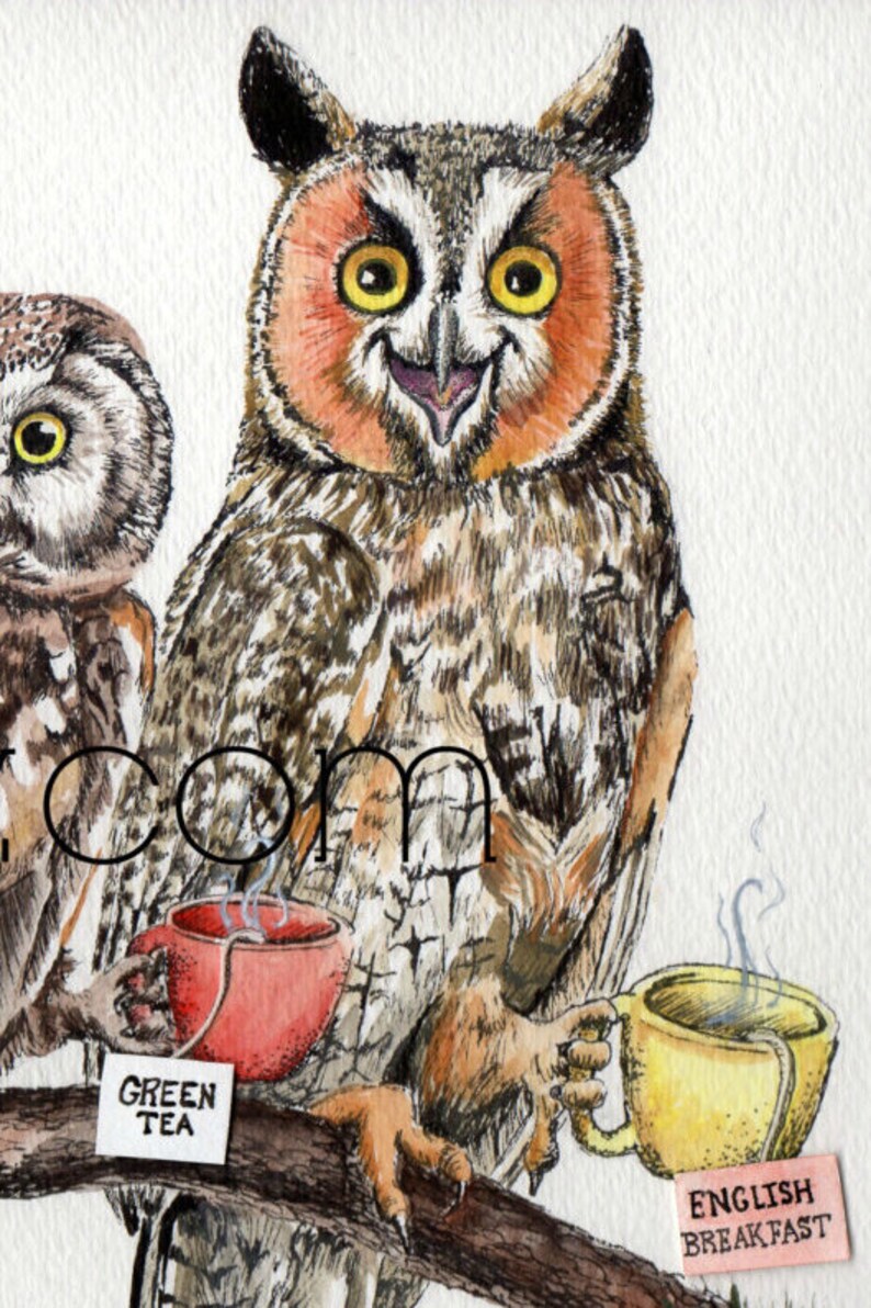 Tea owls , funny owl tea time painting signed print by Holly Simental image 5