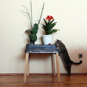 Tafelkoffer Koffer Bloemenstandaard Vintage koffer voor huisdecoratie Koffer Oude kofferstandaard Salontafel