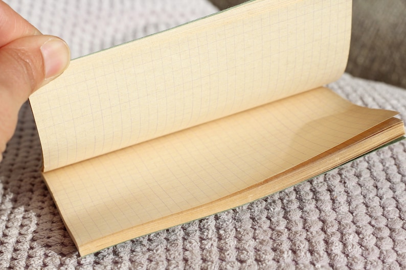 May include: An open, blank, green-covered notebook with gridded pages. The notebook is lying open on a fuzzy, gray surface.