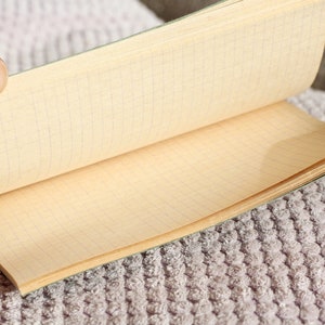 May include: A green and cream colored notebook with a grid pattern on the pages. The notebook is open and lying on a fuzzy, gray surface.