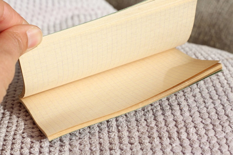 May include: A green and cream colored notebook with a grid pattern on the pages. The notebook is open and lying on a fuzzy, gray surface.