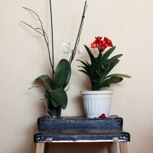 May include: Two potted plants on a black step stool. The plant on the left has white flowers and green leaves. The plant on the right has orange flowers and green leaves.