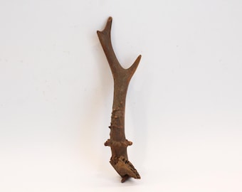 Natural Roe Deer Antler, Knife Handle Art Supply, Vintage Decoration