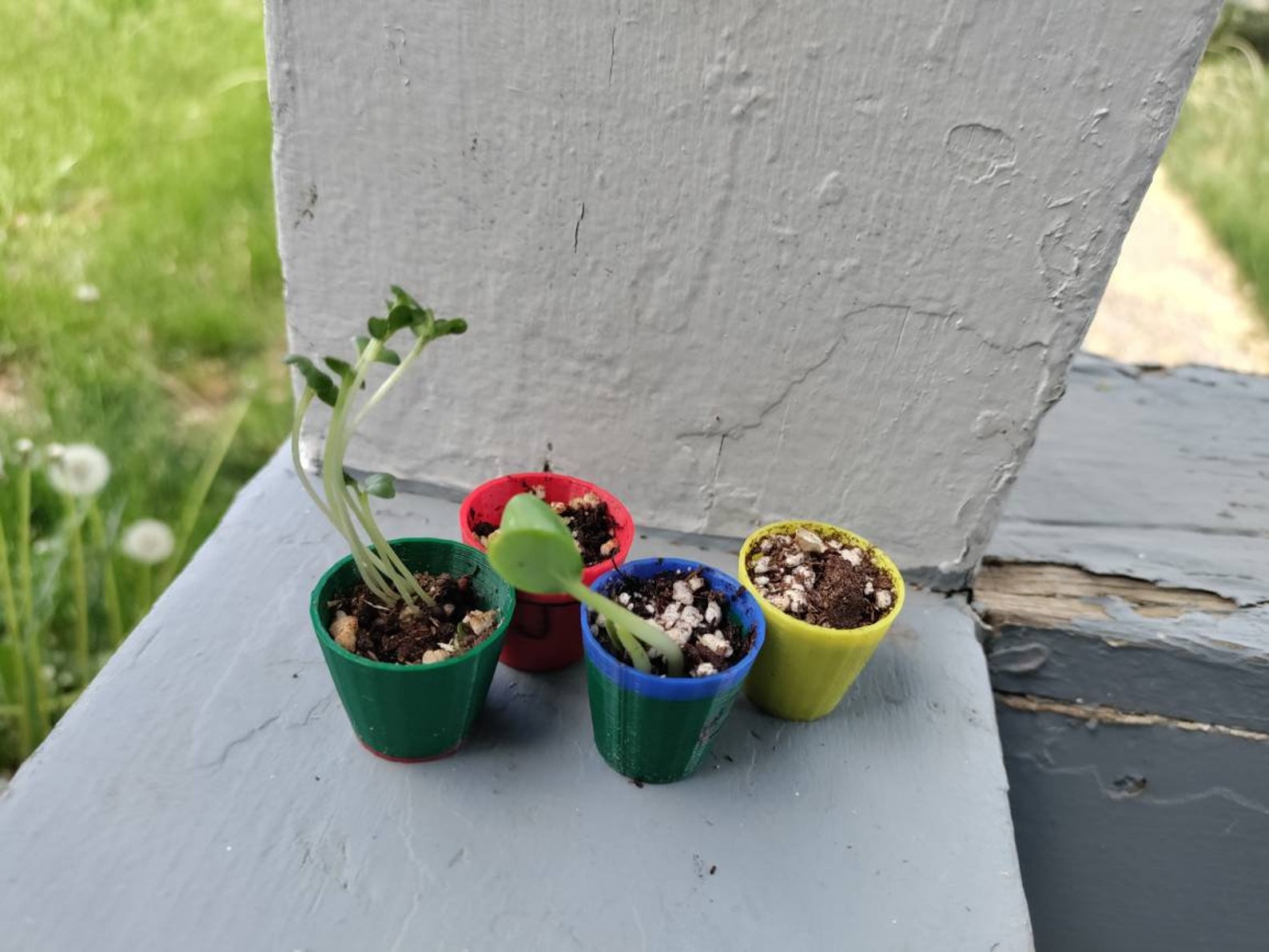 A Little Pot Indoor Seed Germination Pots Etsy