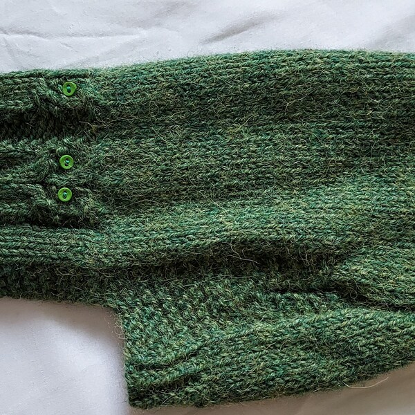 Hand Knit Dog Sweater with Cable Owls and Buttons Variegated Green Winter Warm Soft