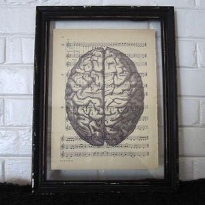 Brain Art Print on Vintage Music Sheet - Human Anatomy Wall Print Wall Decor Horror Gothic Zombie