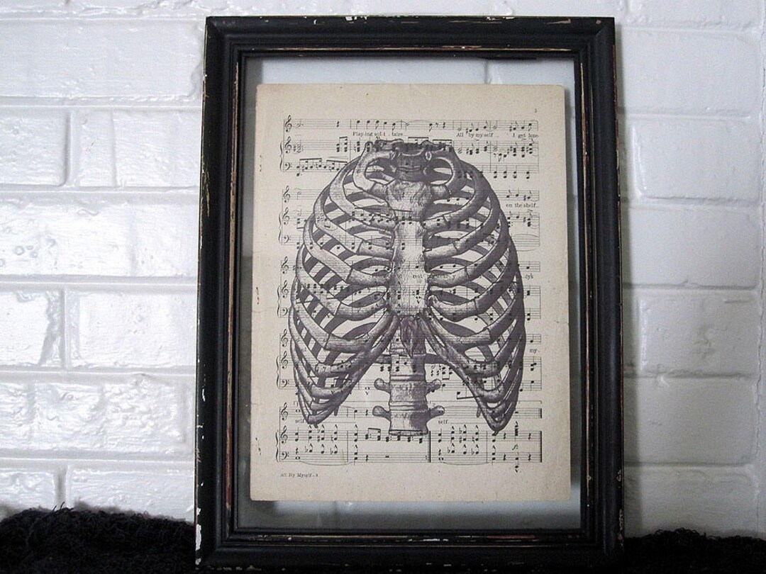Ribcage Art Print on Vintage Music Sheet - Human Anatomy Gothic Horror ...