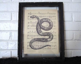 May include: A black framed print of a snake coiled around a sheet of music. The music is titled "Melody Maker" and has a copyright date of 1914.