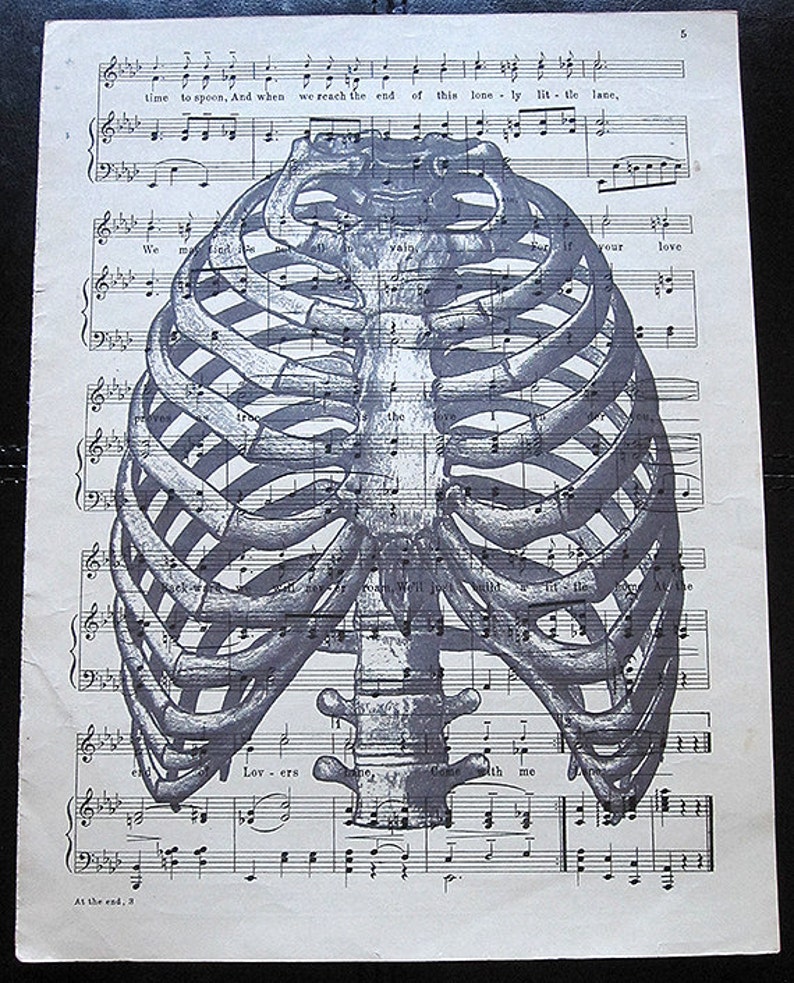 Ribcage Art Print on Vintage Music Sheet - Human Anatomy Gothic Horror ...