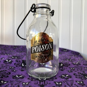 Poison Apothecary Bottle with Wire Handle- Horror Gothic Spooky Home Decor