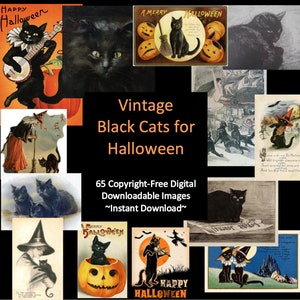 May include: A collage of vintage Halloween images featuring black cats. The images include black cats playing musical instruments, black cats in pumpkins, and black cats with witches. The text "Vintage Black Cats for Halloween" and "65 Copyright-Free Digital Downloadable Images ~Instant Download~" is also included.