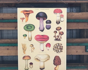Mushroom Poster