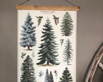 Christmas Trees Print | Christmas Wall Art | Trees Print Vintage | Trees Poster | Botanical Art | Pine Trees Print Art | Vintage Christmas