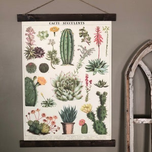 Succulent Print | Succulent Gift | Succulent Decor | Succulents Poster | Succulent Art | Botany Print | Succulent Wall Art | Cactus Print