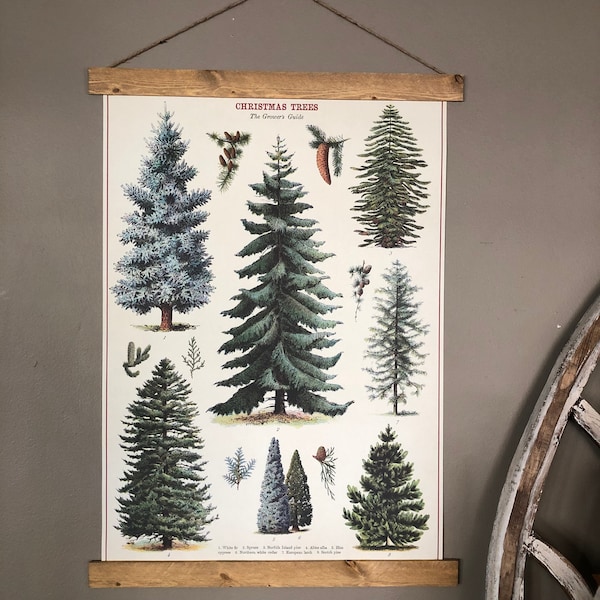 Christmas Trees Print | Christmas Wall Art | Trees Print Vintage | Trees Poster | Botanical Art | Pine Trees Print Art | Vintage Christmas