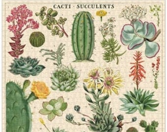 Succulent Puzzle | 1000 Piece Puzzle | Cactus Puzzle | Jigsaw Puzzle | Botanical Art Puzzle | Puzzle for Adults | 1000 Pieces Puzzle Box