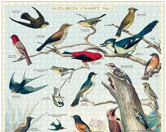 Audubon Puzzle | 1000 Piece Puzzle | Bird Puzzle | Jigsaw Puzzle | Art Puzzle | Puzzle for Adults | 1000 Pieces Puzzle Box | Birding | Gift