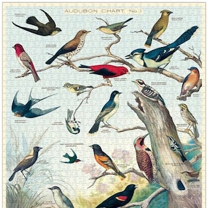 Audubon Puzzle | 1000 Piece Puzzle | Bird Puzzle | Jigsaw Puzzle | Art Puzzle | Puzzle for Adults | 1000 Pieces Puzzle Box | Birding | Gift