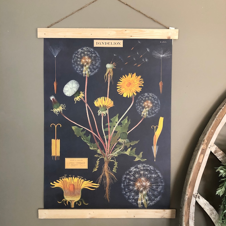 Dandelion Poster Dandelion Print Dandelion Wall Art Etsy
