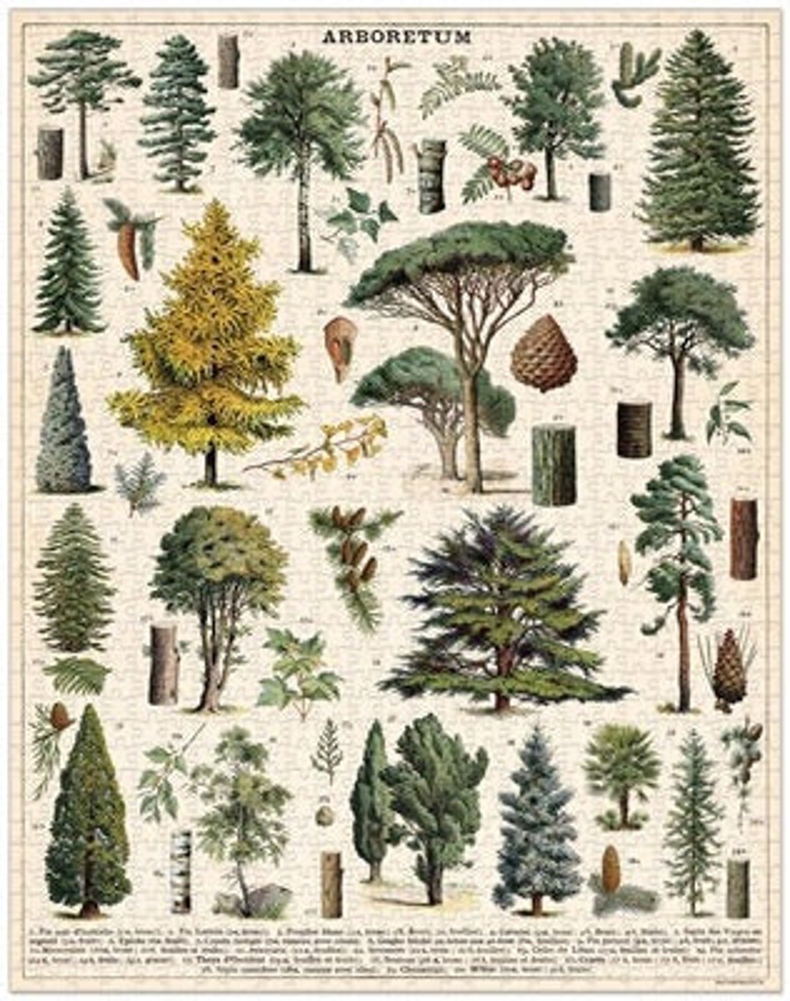 Trees Puzzle 1000 Piece Puzzle Tree Species Puzzle Etsy