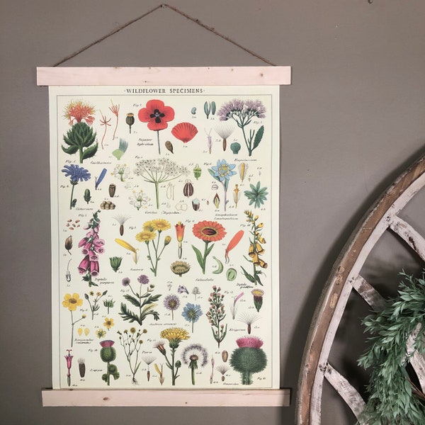 Wildflowers Print | Floral Wall Art | Floral Print Vintage | Wildflowers Poster | Wildflowers Art | Wildflowers Print | Flower Print | Decor